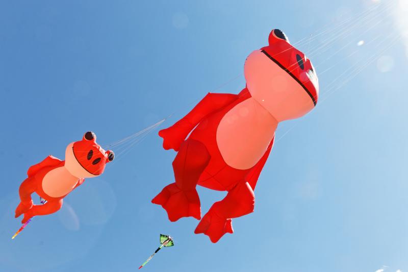 Featured image of post Generate Load Tests from Swagger/OpenAPI with K6